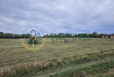 Teren de vanzare ,Tocile, Sibiu, case de vacanta si locuinte - 12