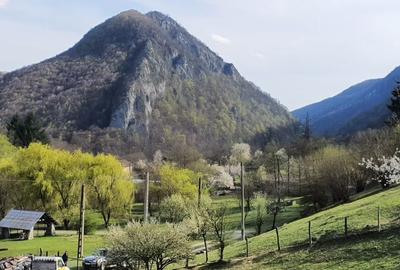 Teren de 8674 mp, în Călugăreni - 4