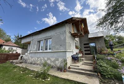 Casă individuală cu 4 camere cu Canalizare în Provița de Sus - 32