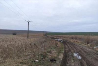 Teren extravilan cota parte 1/3, Rediu, ID: R2642185 - 4