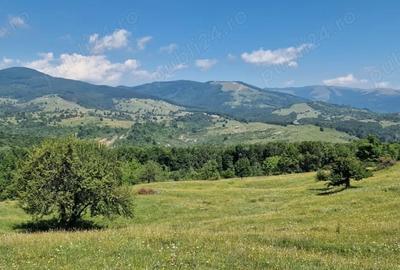Teren de 1000 mp, în Nord - 3