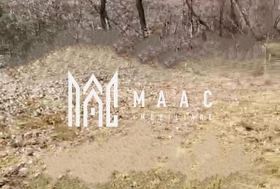 Teren | Intravilan | 1148 MP | Marginimea Sibiului - 3