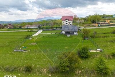 Teren de 1100 mp, în Tohănița - 10