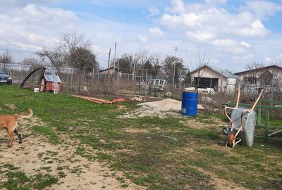 Teren de 1800 mp, în Dărăști-Vlașca - 3