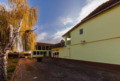 Casă individuală cu 9 camere cu Teren 3763 Mp în Peciu Nou - 29