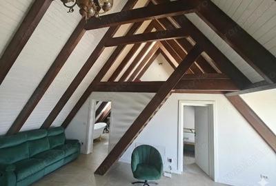 Casă cu Teren 1911 Mp în Vârfu Câmpului - 4