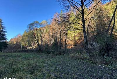 Spațiu comercial, în Podu Dâmboviței - 3