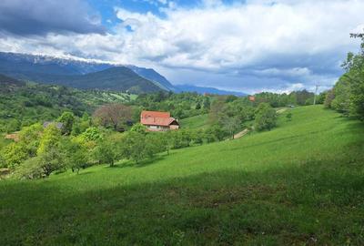 Spațiu comercial, în Bran - 2