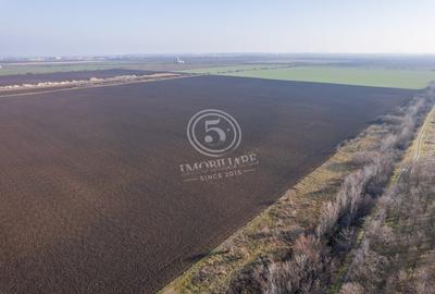 Oportunitate de investitie, teren intravilan in Tamasi-Corbeanca, 22 Euro/mp - 6