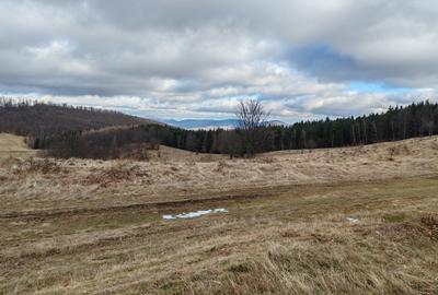19,5 Ha  TEREN PEISAJ PANORAMIC SPECTACULOS zona turistica montana BULZ -  BIHOR - 22