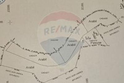 Teren de 129700 mp, în Iepurești - 14