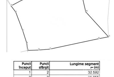 Teren intravilan 9000 mp, la 5 minute de lacul Belis! - 3
