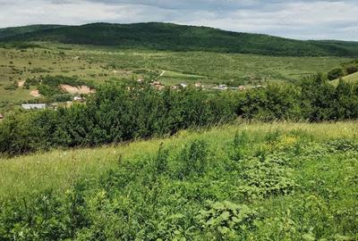 Teren de 2200 mp, în Rădaia - 5