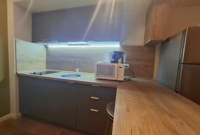 INCHIRIERE-APARTAMENT 2 CAMARE-COPOU - 5