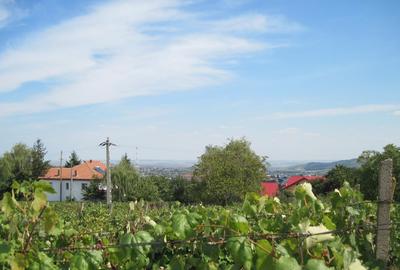 Teren Construcții intravilan de 4500 mp, în Central - 2