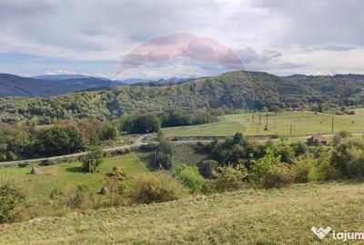 Teren de 3082 mp, în Damiș - 5