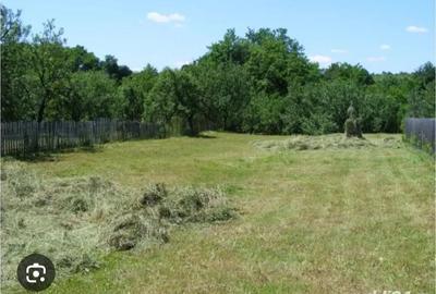 De vanzare teren intravilan 2020mp, zona Zetari - 1