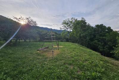 TEREN DE VANZARE SECIURI - 4