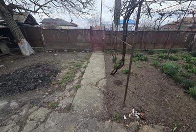 Casă cu Teren 1400 Mp în Dumitrești - 4