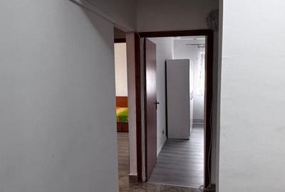 Apartament cu 3 camere decomandat, mobilat în Lăpuș Argeș - 6