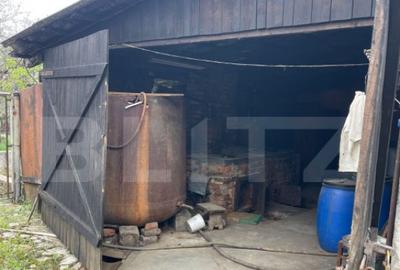 Casă cu 4 camere cu Teren 3300 Mp în 14 Mai - 31