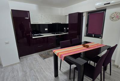 Apartament cu 2 camere decomandat în Lăpuș - 7