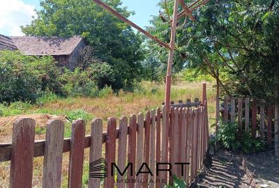 Casă individuală cu 4 camere cu Teren 2000 Mp în Alțina - 10