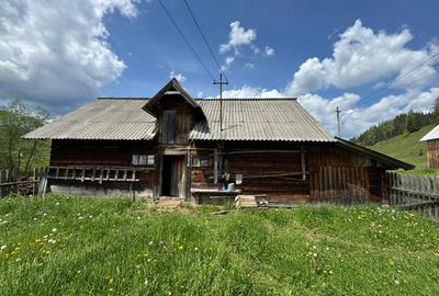 Vând proprietate 3,5 ha în Breaza de Sus, jud. Suceava, pe malul râului Moldova - 1