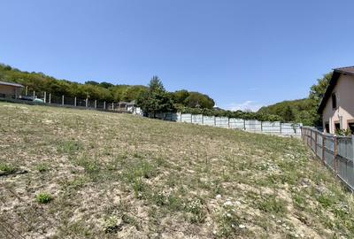 Teren Intravilan de Vis in Bascov, la Marginea Padurii! - 3