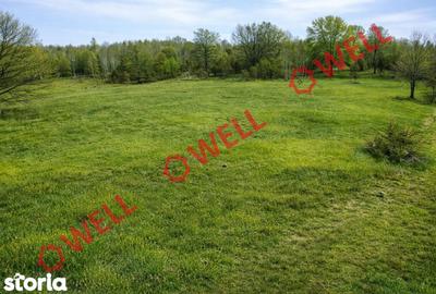 Teren de 884 mp, în Brăduț - 5