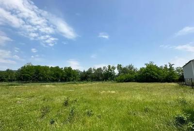 Teren de 2500 mp, în Polovragi