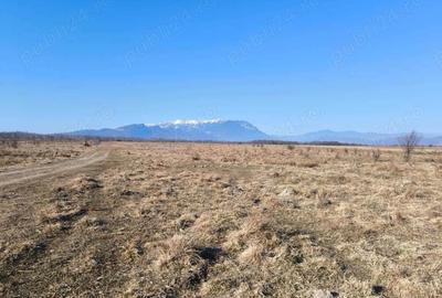 Zona Glajarie - Rasnov, teren ideal pentru investitie sau constructii de vacanta. - 2