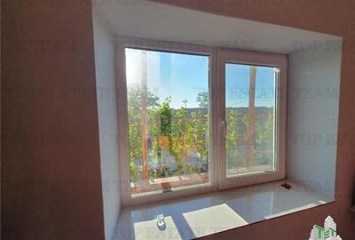 Casa renovata extinsa si teren  5470 mp Pantelimon Jud Constanta - 12