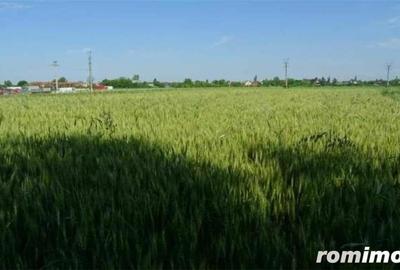 Teren de 3450 mp, în Dârza - 1