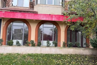 Spațiu comercial, de 86 mp, în Delfinariu