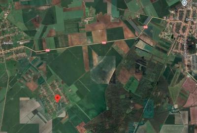 Casă cu 2 camere în Central - 3