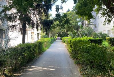 Apartament cu 2 camere semidecomandat, mobilat în Take Ionescu - 9