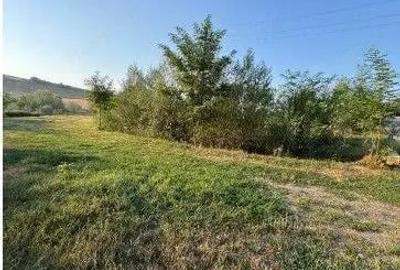 Teren de 2500 mp, în Români - 6