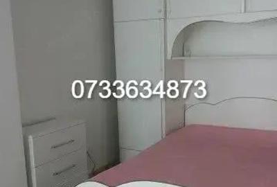 Apartament de inchiriat cu o camera in zona Baciu - 1