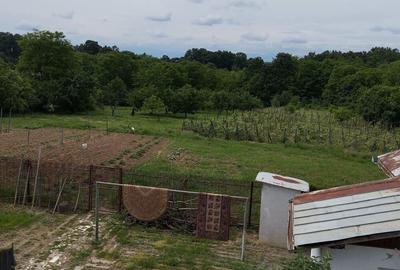 Casă cu 2 camere cu Teren 8000 Mp în Budieni - 7