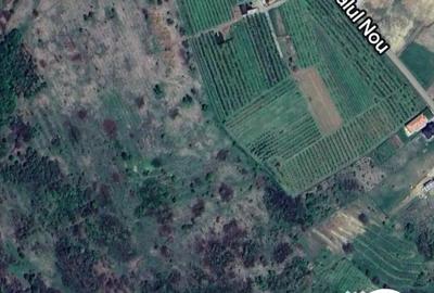 Teren de 6 mp, în Săldăbagiu de Munte - 1