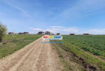 Teren de 1000 mp, în Băneasa