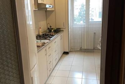 Casă cu 2 camere în Botiz - 3