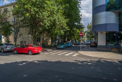 Vila Primaverii (de nădejde), S+P+1+M, 389 mp teren, 266 teren liber - 6