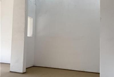 Spatiu Industrial - 600 mp - Productie - Depozitare - Distributie - Sibiu - 5