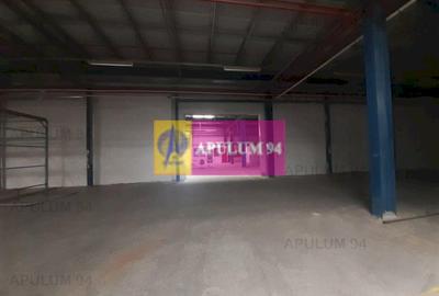 Spațiu industrial, de 4,850 mp, în 1 Decembrie - 53