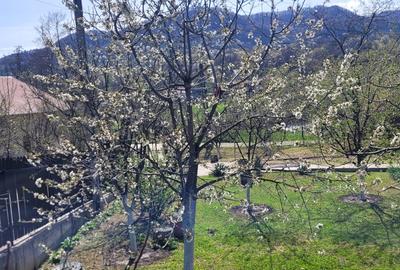 Vand casa la munte ,utilata,amenajata semirustic,panorama super..! - 9