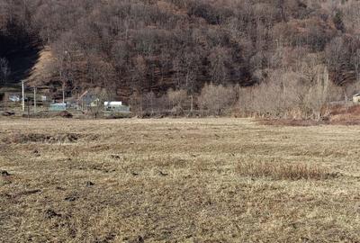 Spațiu comercial, în Pintic - 6