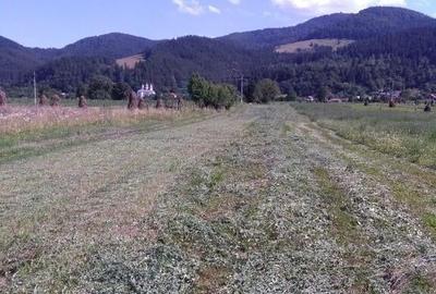 Teren de vanzare - 3