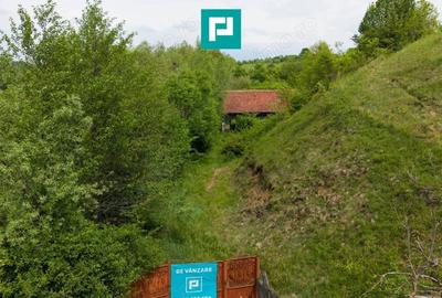 Casă cu Teren 24494 Mp în Lupești - 5